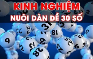 kinh nghiệm nuôi đàn đề 30 số